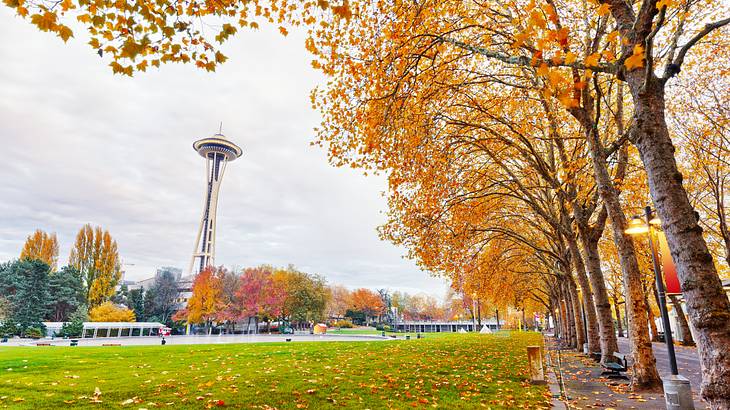 A low-angle shot of a lush park in autumn with a tall tower in the background