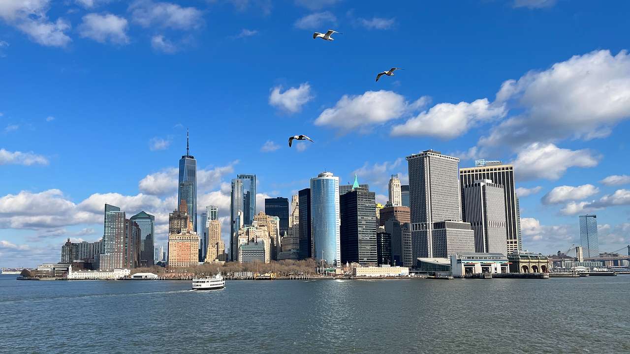 Birds flying over a body of water near an urban city filled with skyscrapers