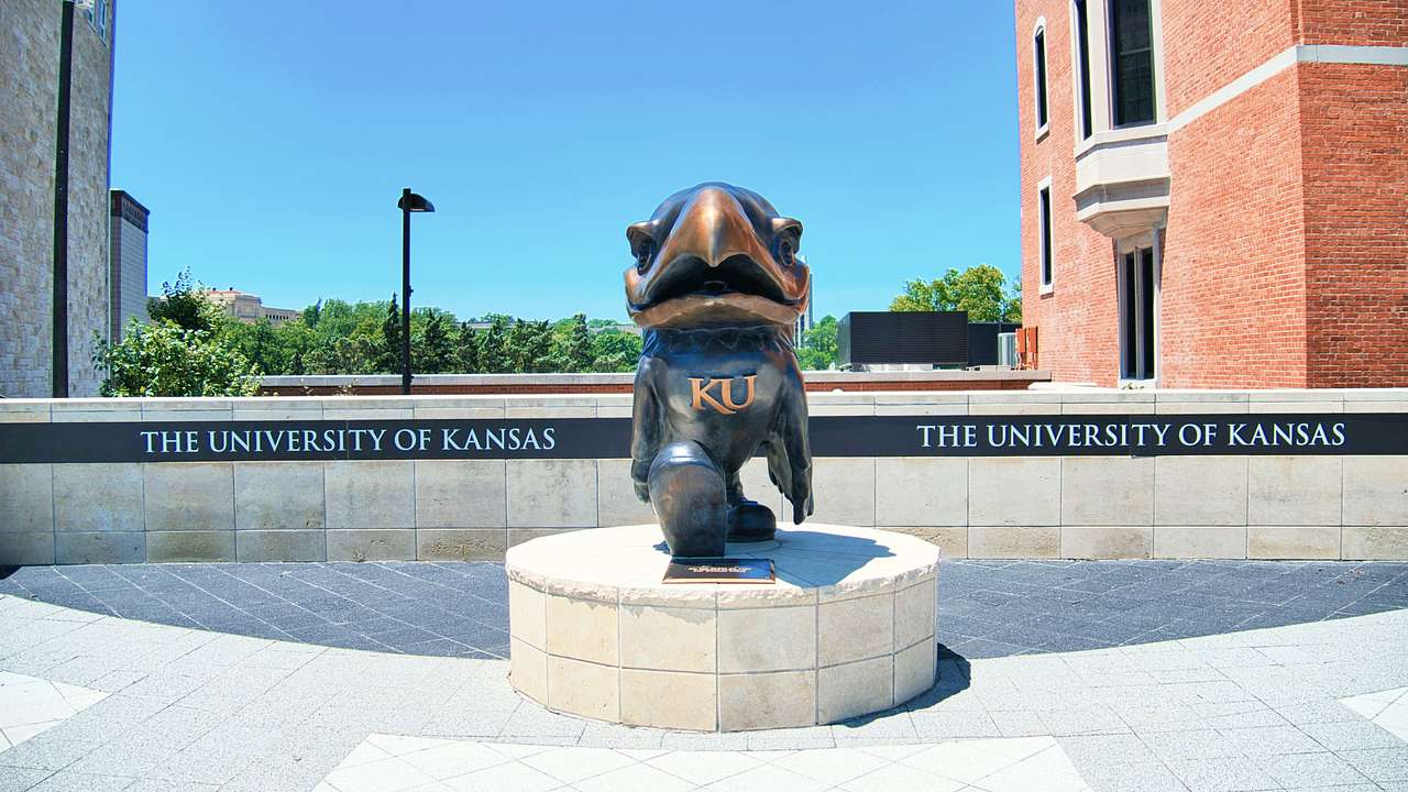 A statue of a bird near a short wall with text saying "The University of Kansas"
