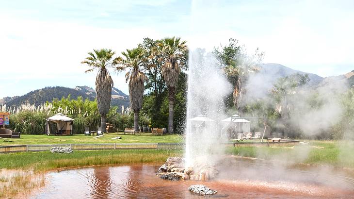 A pond with a geyser in the middle and green grass and palm trees behind it