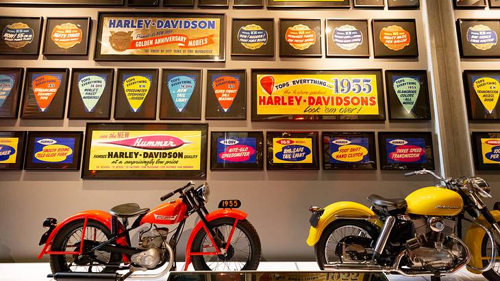 Two motorbikes stand in front of a wall featuring many Harley-Davidson vintage signs Two motorbikes stand in front of a wall featuring many Harley-Davidson vintage signs