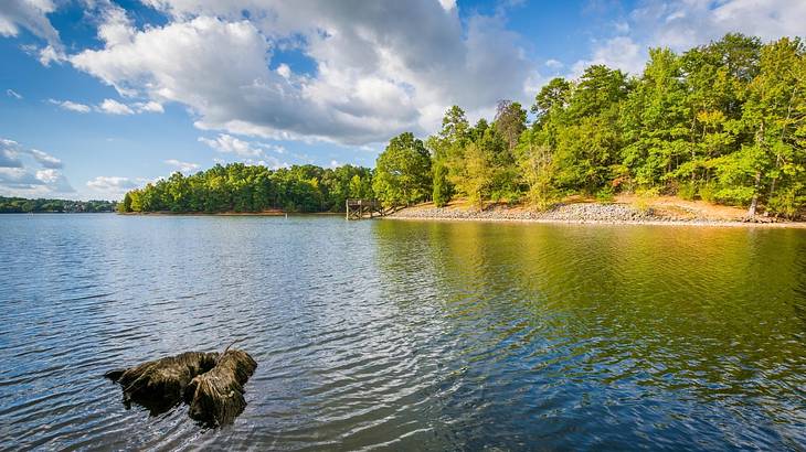 A lake with trees on the shore under a blue sky with clouds