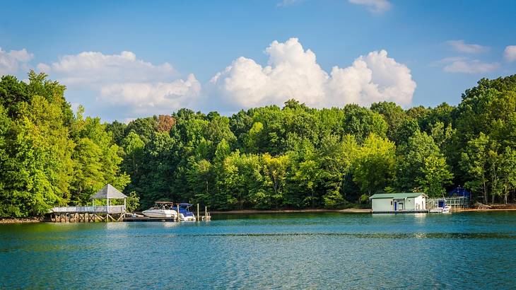 A lake with boats moored near the shore next to green trees under a blue sky