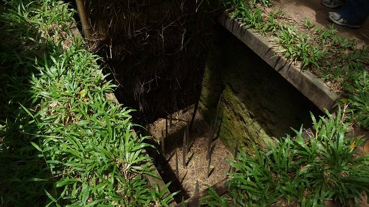 Above view of a tunnel entrance surrounded by grass and spikes on the bottom Above view of a tunnel entrance surrounded by grass and spikes on the bottom