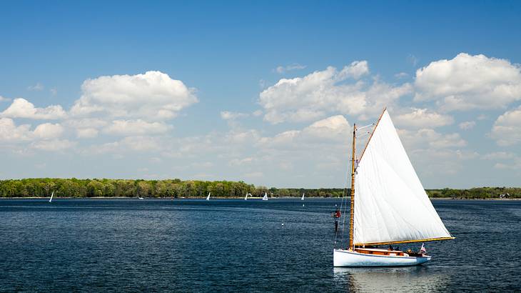 A sailboat on the water under a blue sky with clouds