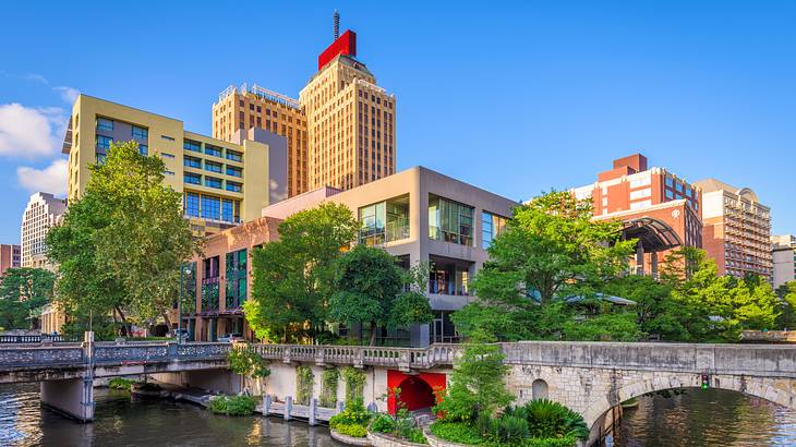 Modern buildings near bridges, trees, and a river under a blue sky