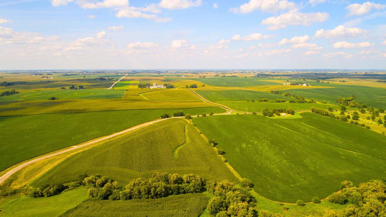 An aerial view of green farmland under a blue sky with white clouds