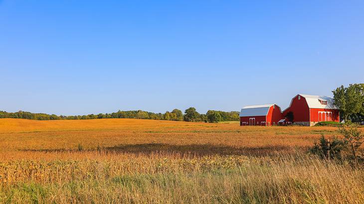 A red barn in the middle of a field