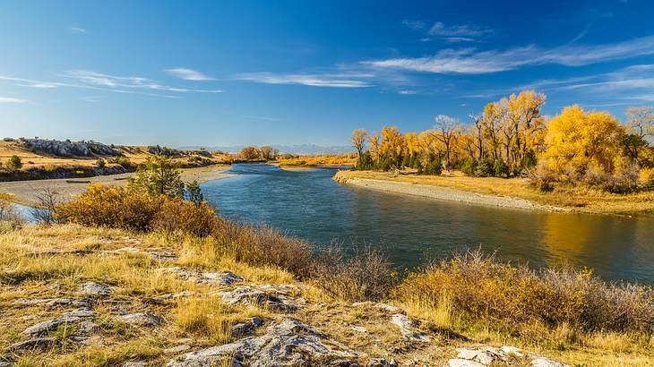 A river running surrounded by foliage in hues of yellow on a sunny day