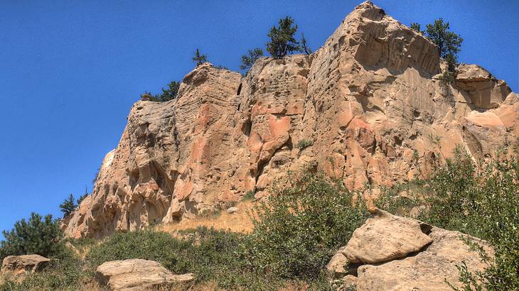 Looking up a brown rocky cliff surrounded by plants against a clear blue sky
