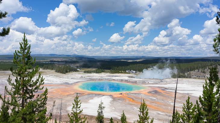 Steam coming out of a colorful geothermal pool at the middle of a tree-laden park