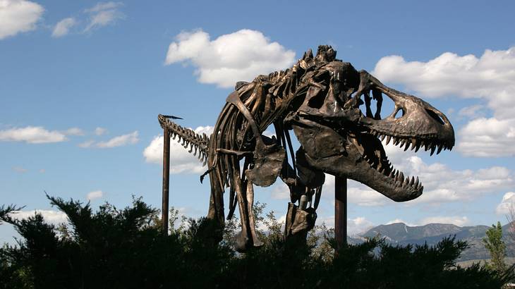 Dinosaur bones with trees, mountains, and a partly cloudy sky in the background