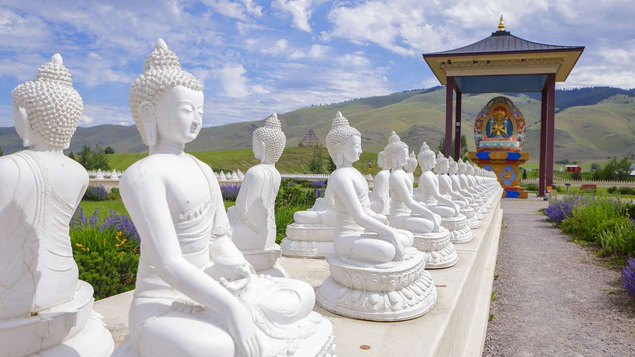 Rows of back to back white Buddha statues on a garden with a view of mountains