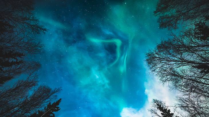 Northern lights in Fairbanks is one of the fun facts about Alaska state