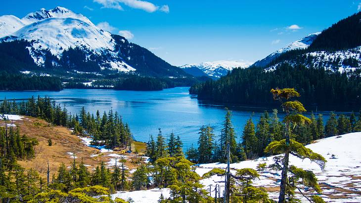 A brown hill with trees and snow overlooking blue water against snowcapped mountains