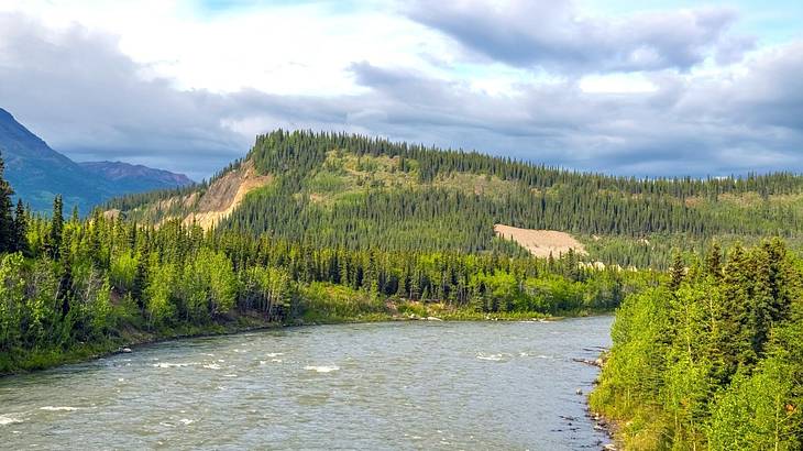 A river winding through hills covered with tall green trees under a cloudy sky