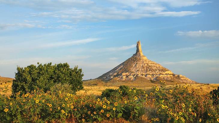 A mountain with a rock tower surrounded by greenery and yellow flowers