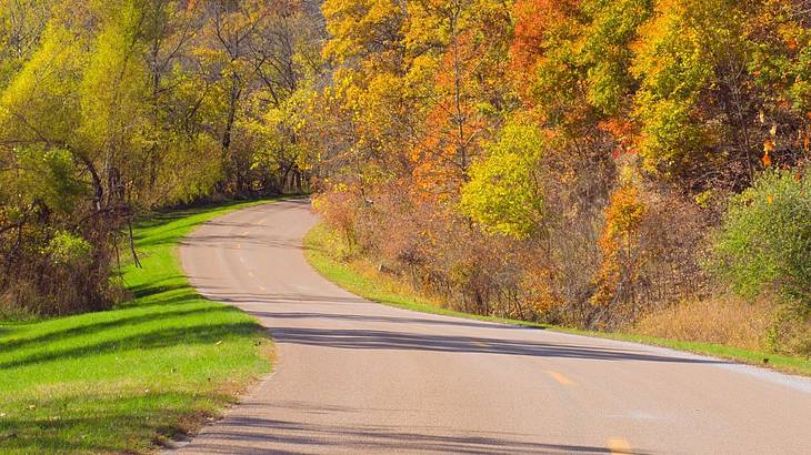 A road winding through a forest with red, orange, and green fall trees