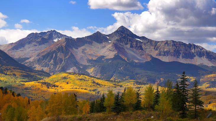 A barren mountain range in the back of foilage covered hills in the front