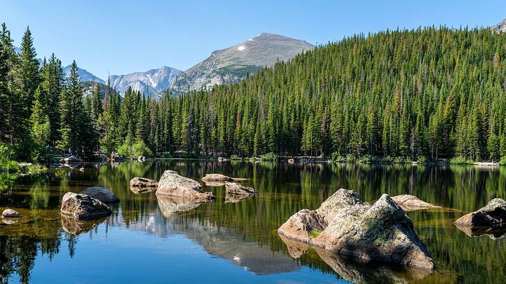 A lake with boulders in it next to green trees and mountains