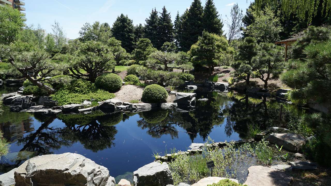 A pond surrounded by rocks and green trees
