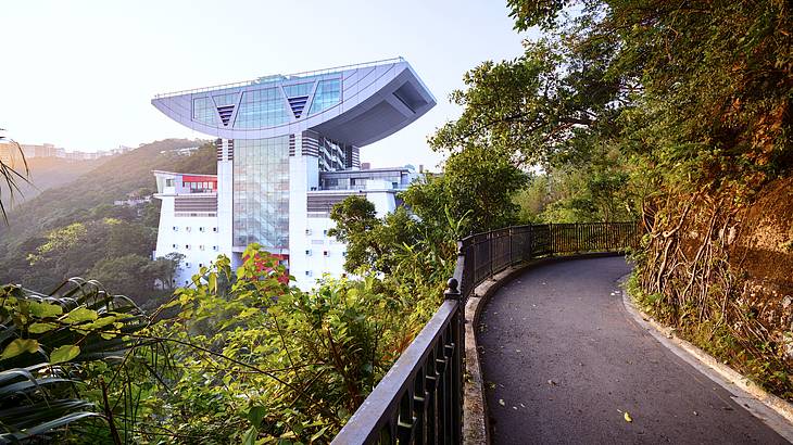 A glass building on a green peak, Hong Kong