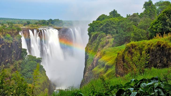 A massive waterfall going off a lush green cliff with a rainbow in front