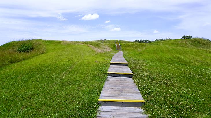 Boardwalk stairs winding through an empty field with green grass