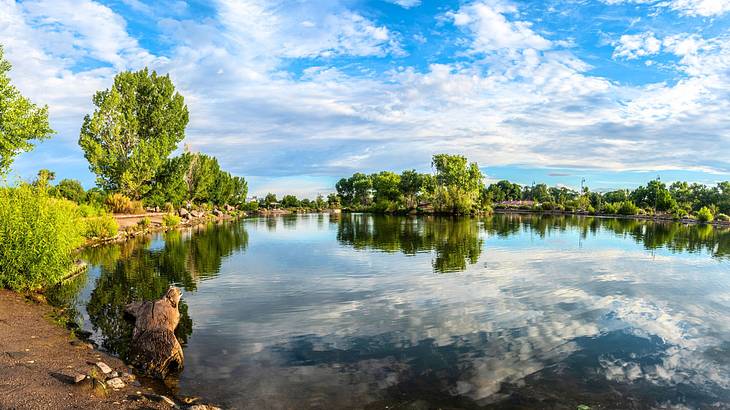 A lake near trees and a path under a bright blue sky with white clouds