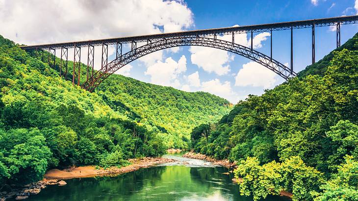 An elevated bridge over a river surrounded by dense green forests