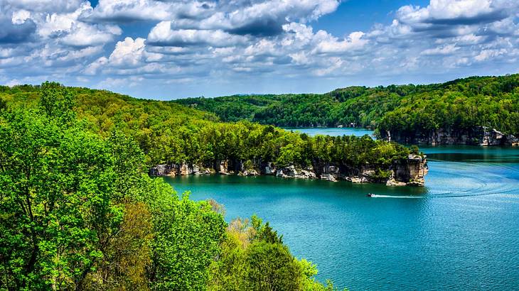 A body of water near forest-covered mountains under a cloudy sky