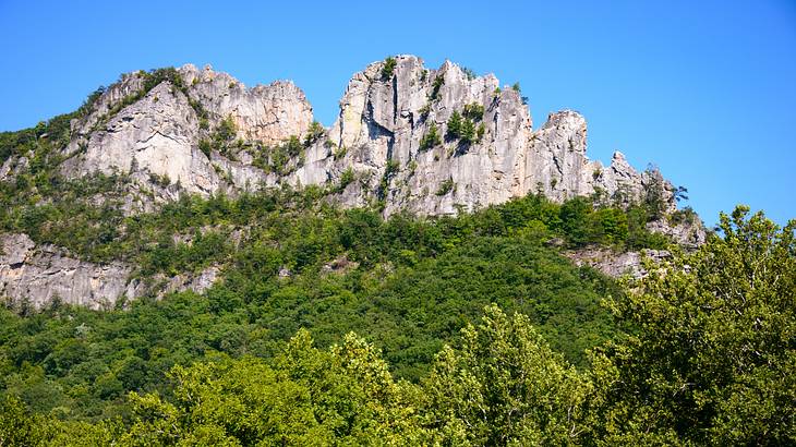 Mountain State is one of the nicknames for West Virginia