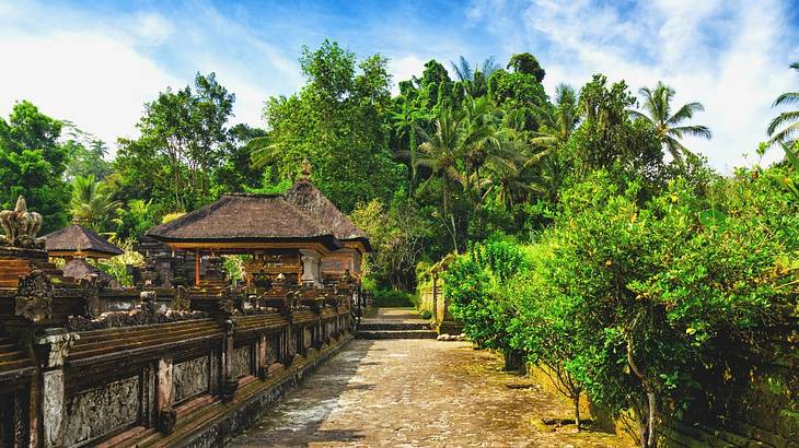 A path surrounded by temples and lush green jungle