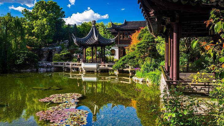 A pond with a Chinese-style pagoda and trees around it