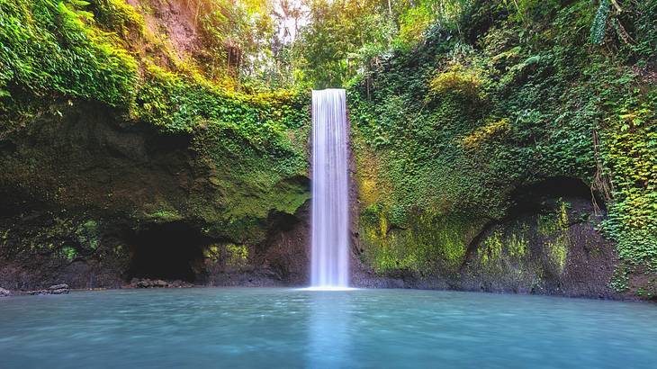 A waterfall amongst lush green jungle falling off a cliff into a blue pool below