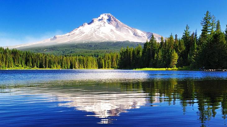 A snow-covered mountain with trees and a lake in front of it