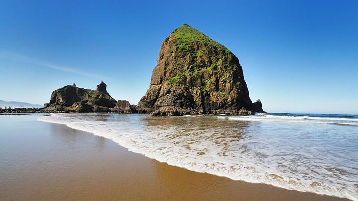 A small cliff with greenery on it sitting in the ocean next to a wet sandy shore