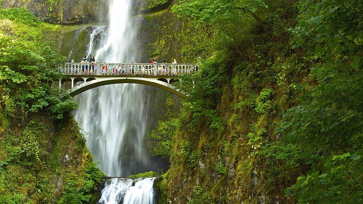 A waterfall flowing down rocks with a bridge in front of it surrounded by greenery