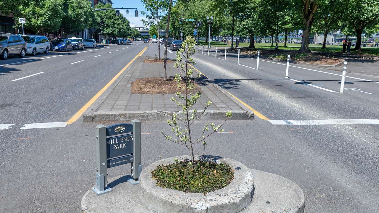 A sapling in the middle of a paved area and a small sign that says "Mill Ends Park"