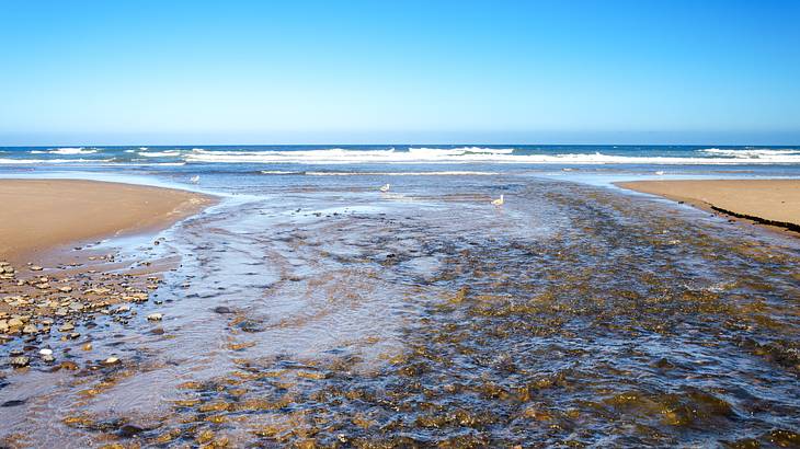 A shallow watercourse connected to the sea