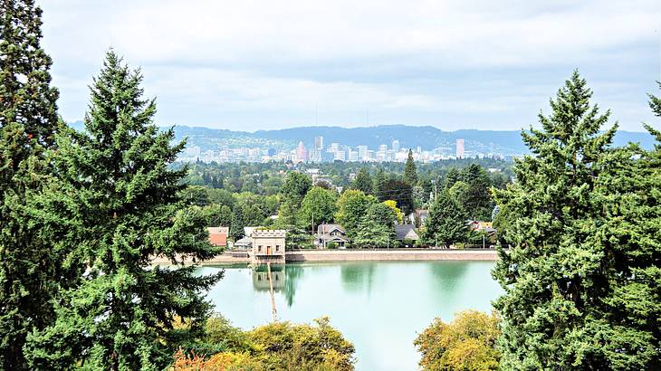A body of water surrounded by trees with a city skyline in the background