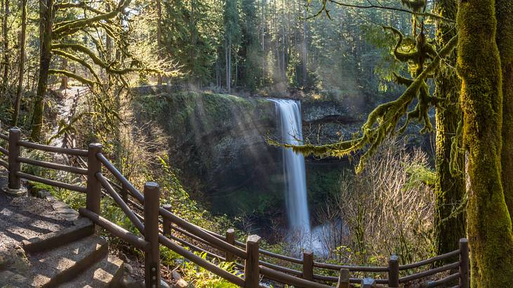 A walkway surrounded by a forest of trees and a waterfall