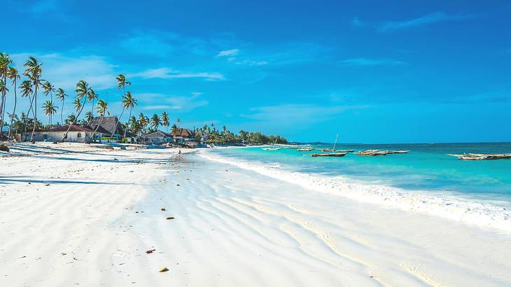 A beautiful white-sand beach lined with palm trees and bright blue water