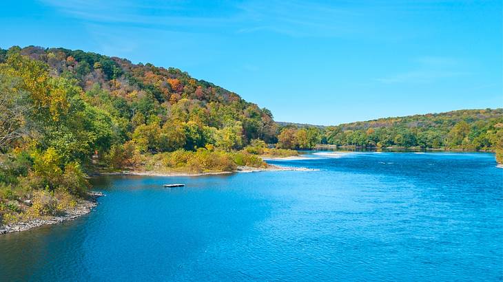 A river with green trees on the banks under a clear blue sky