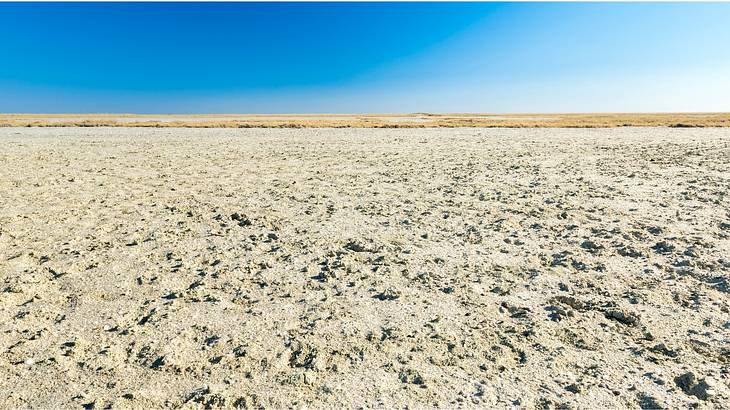 Salt flats under a big blue sky in Botswana, Africa