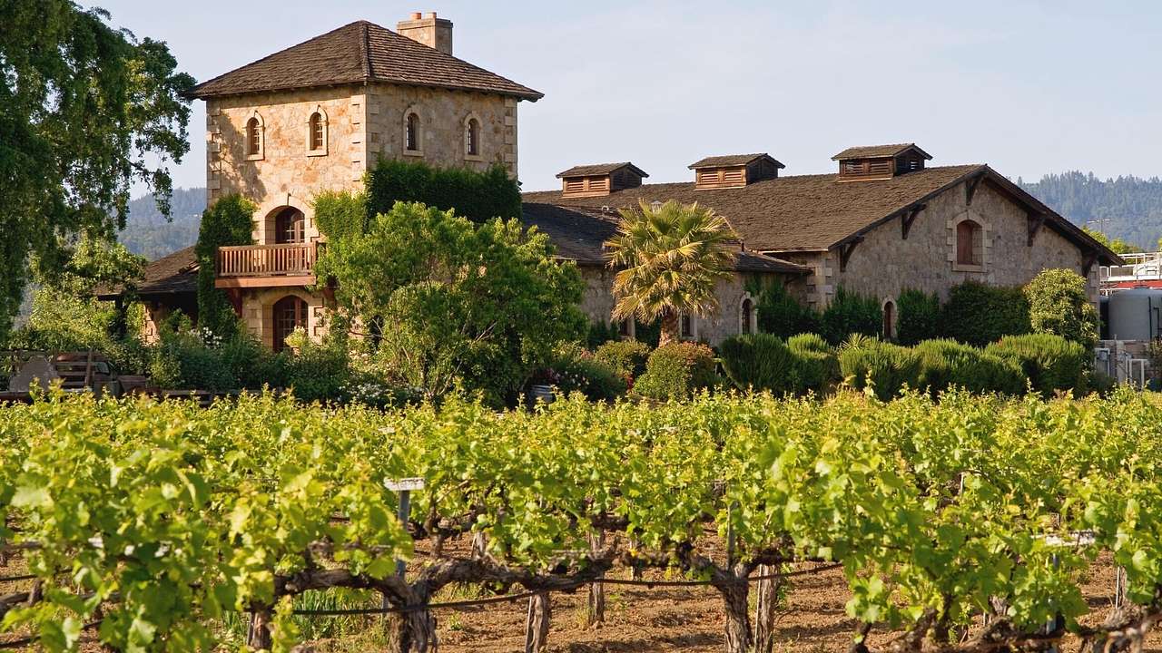A vineyard and trees next to a stone house