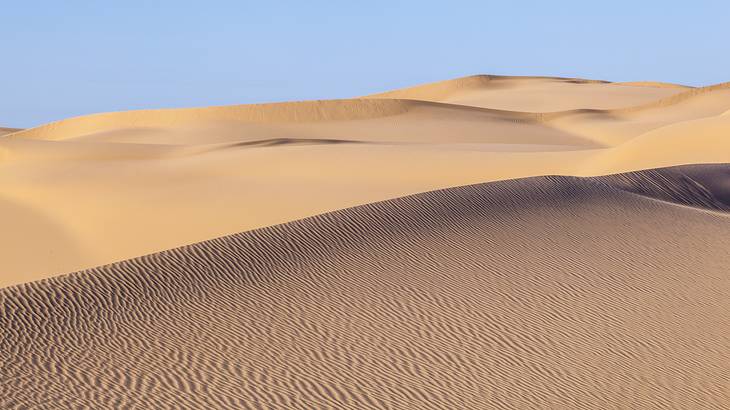 Rippled sand dunes in a desert with a clear blue sky in the background