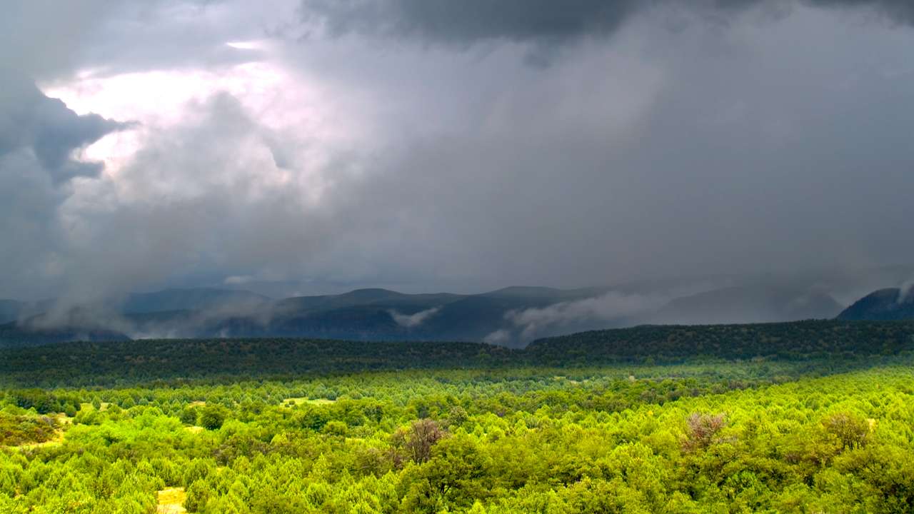 Dark clouds pass over a forest with rain falling