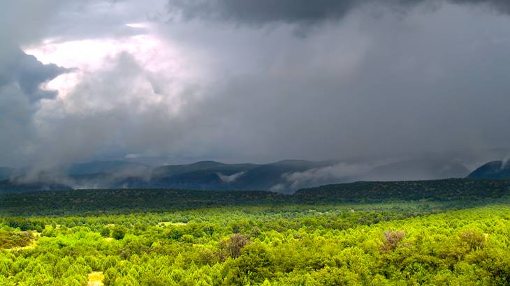 Dark clouds pass over a forest with rain falling