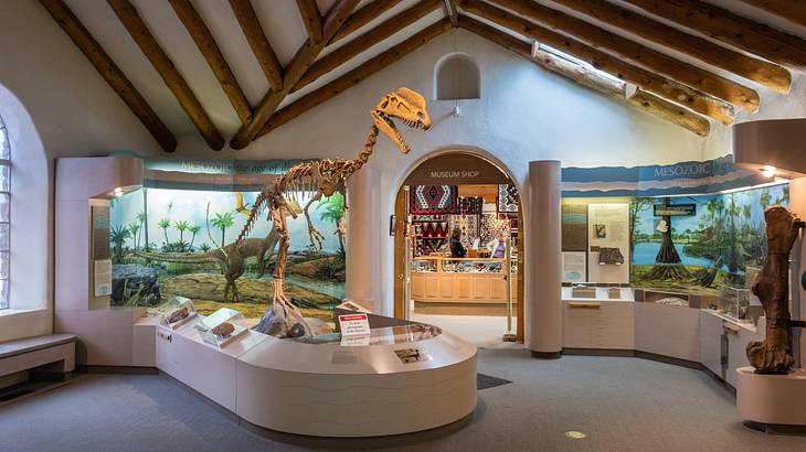 The interior of a museum with a dinosaur skeleton and a museum shop